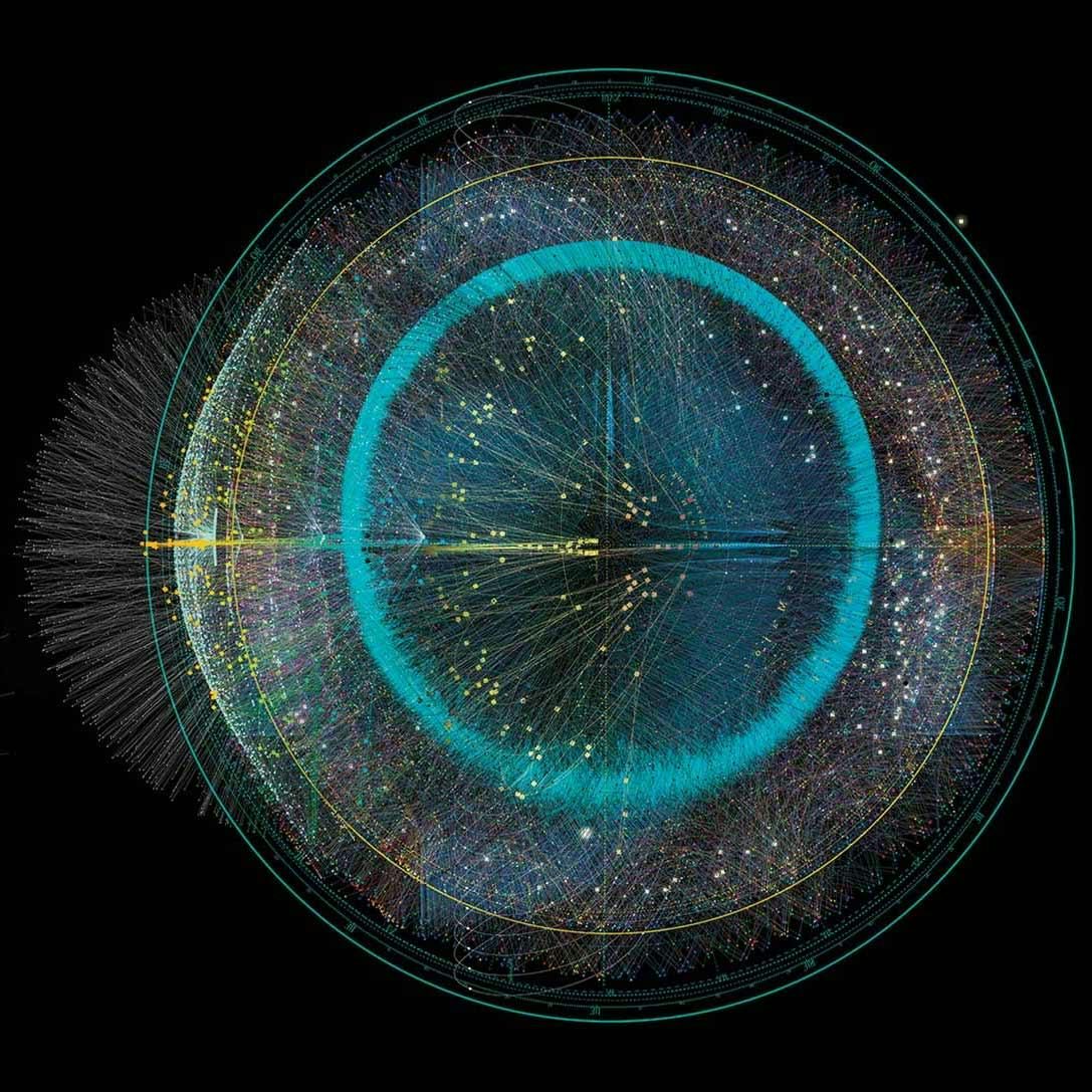 Insights from biology, physics and business shed light on the nature and costs of complexity and how to manage it in business organizations.
