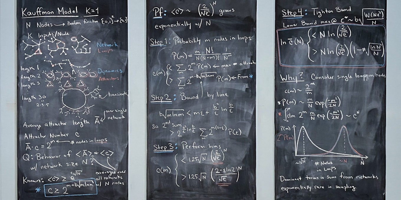 Limus Math LIMS | London Institute for Mathematical Sciences