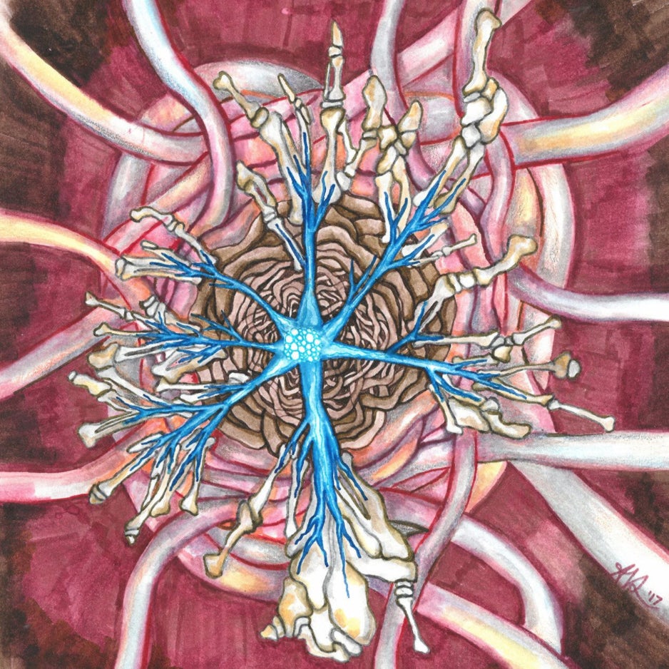 Emergence of strongly connected components in continuum disk-spin percolation