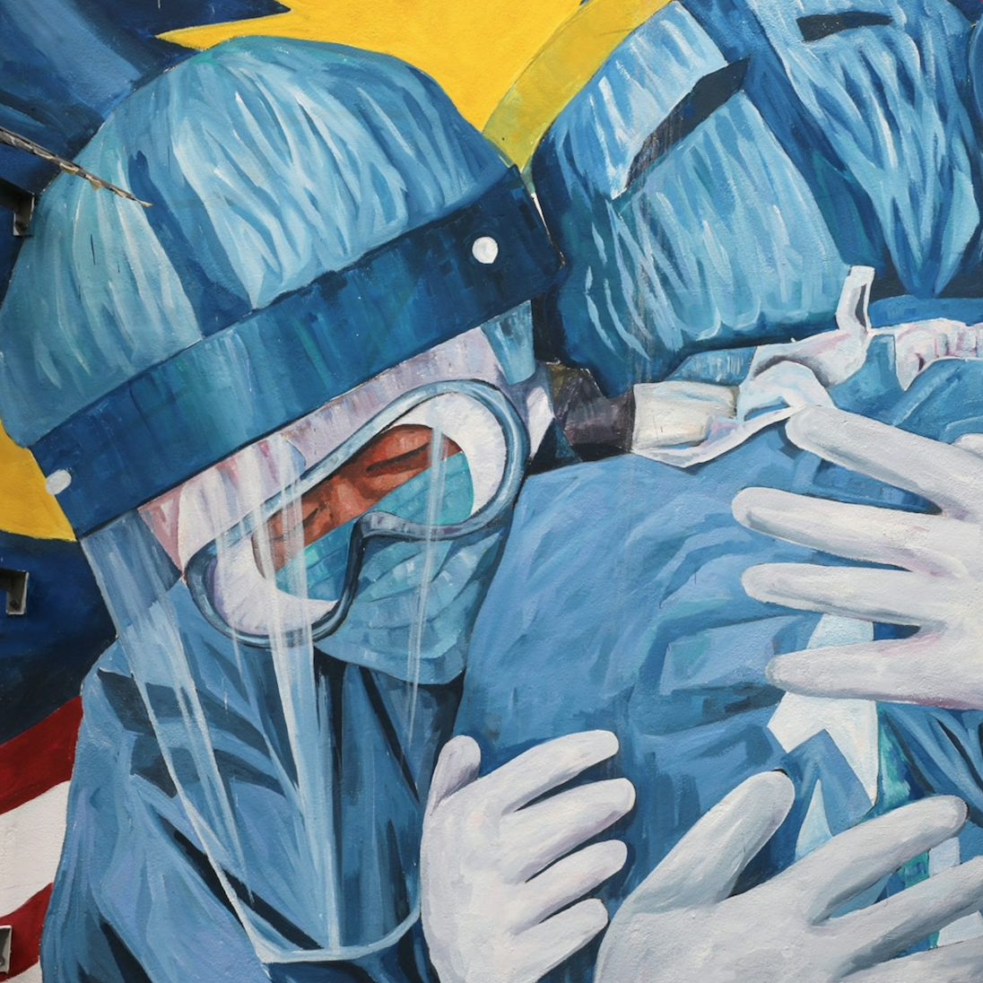How the immune system organises a defence