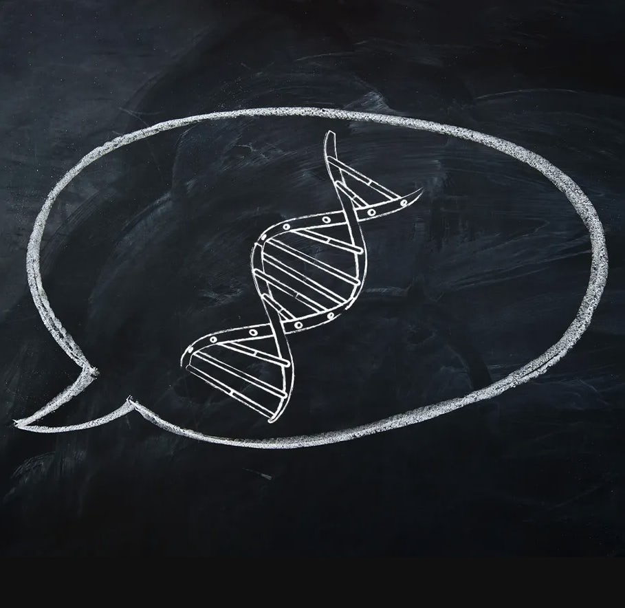 GENA-LM: A family of open-source foundational models for long DNA sequences