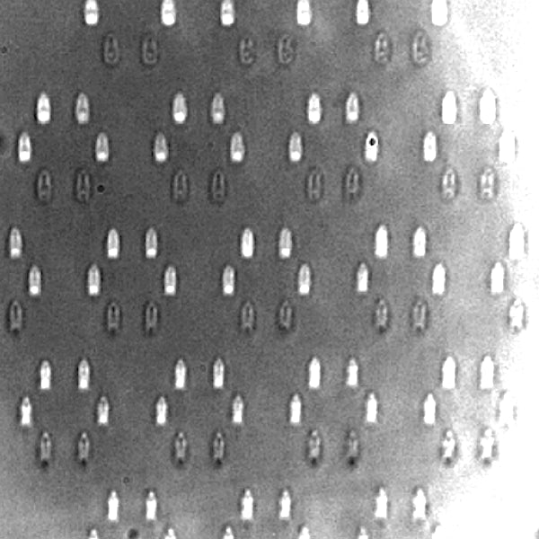 Topological protection of quantum state structure
