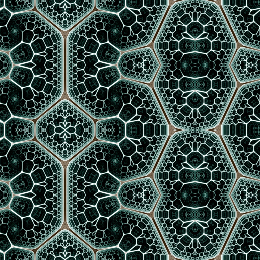 True scale-free networks hidden by finite size effects