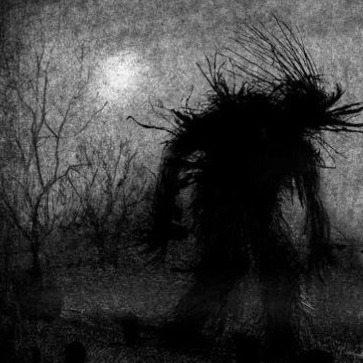 Kashiwa lectures on “New approaches to the monster”