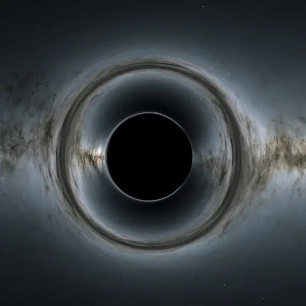 Conditional entanglement transfer via black holes: restoring predictability