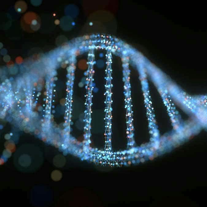 DNA and the human genome