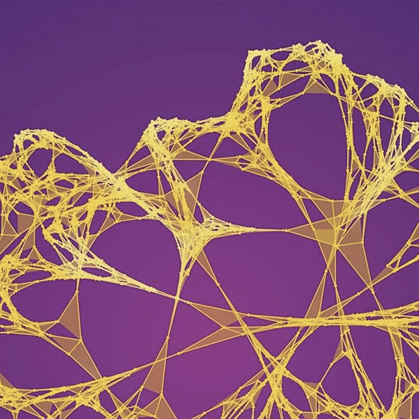 Meet Stephen Wolfram