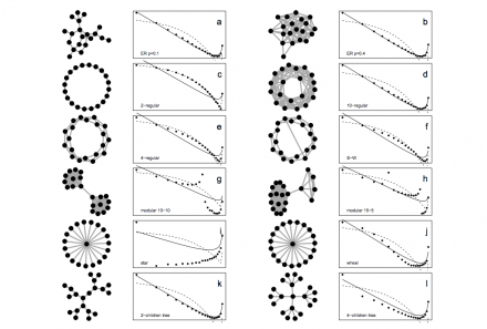 Simulations for 106 periods, using different social networks.