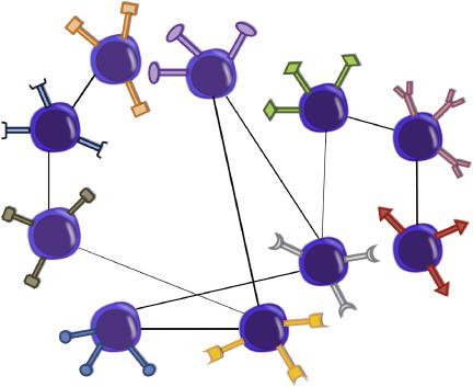 The immune system must simultaneously recall multiple defense strategies because many antigens can attack the host at the same time.
