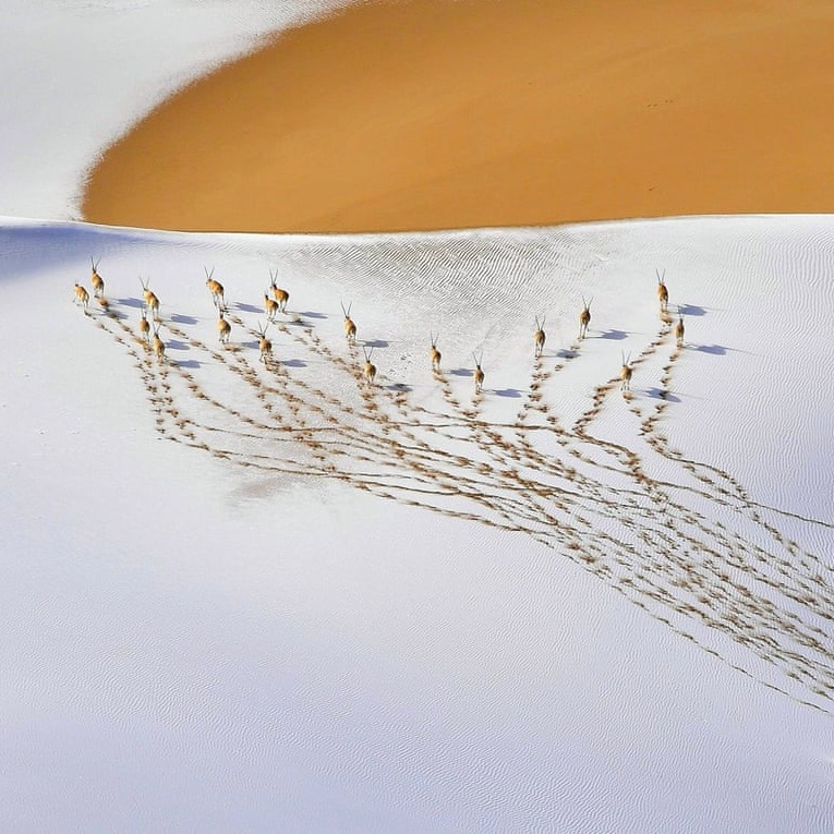 What to do when failure is contagious