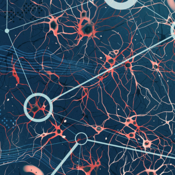 Quantum generalisation of feedforward neural networks