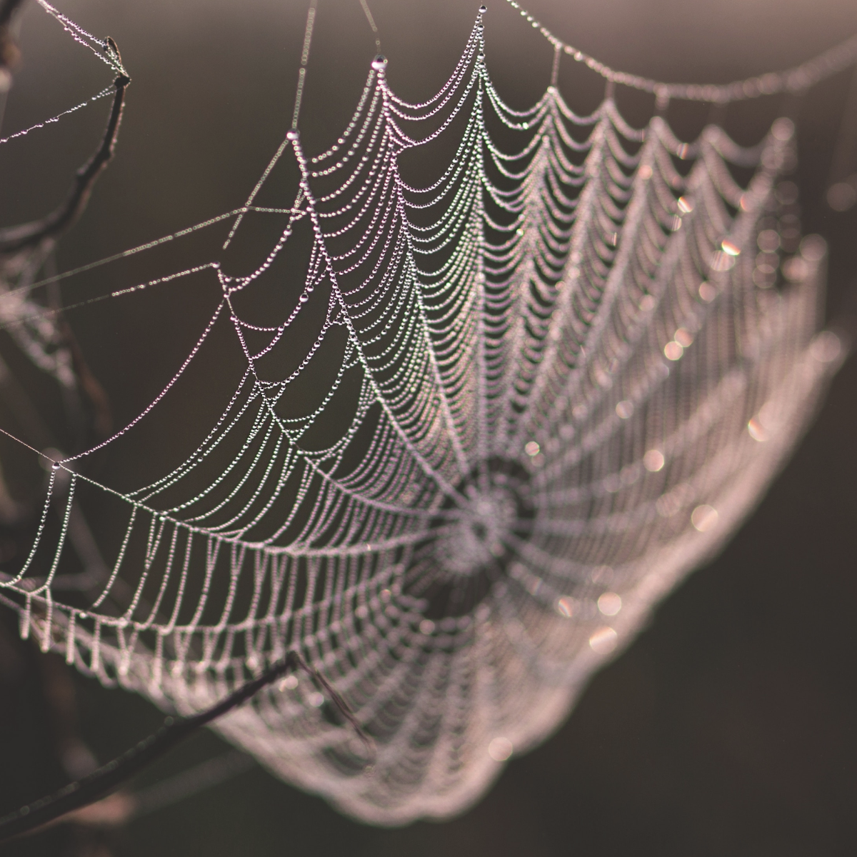 Repairable as an alternative to robust